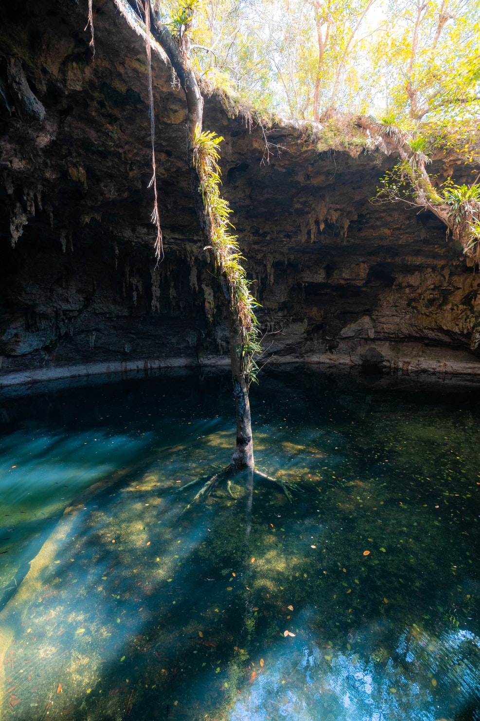cenote